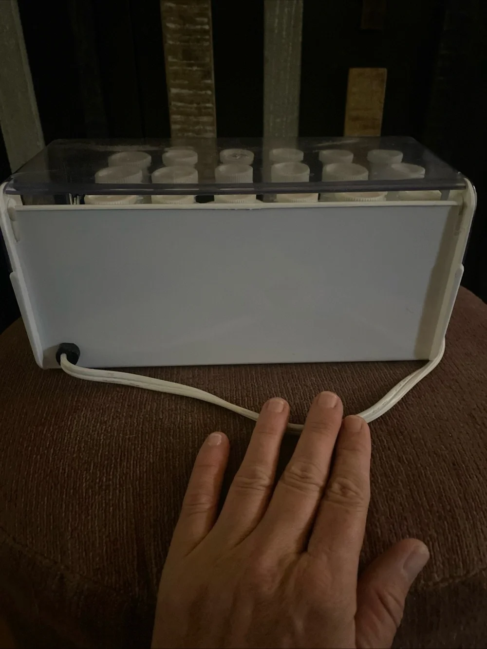 Vintage White Hot Roller Set with Clear Storage Case